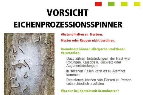 Vorsicht Eichenprozessionsspinner