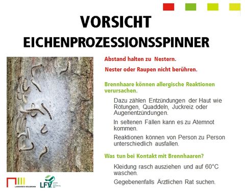 Vorsicht Eichenprozessionsspinner