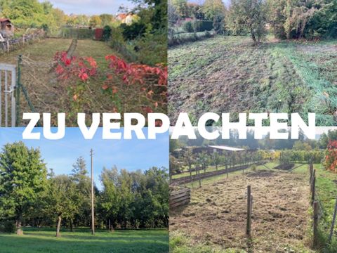 Garten- und Gründland zu verpachten