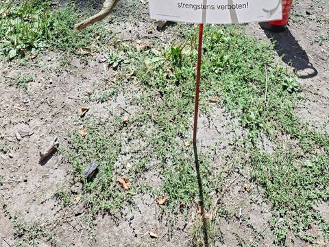 Hinweisschild an der Grillstelle auf das aktuell bestehende Grill-/Feuerverbot. 