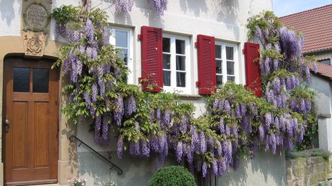 Haus Mayer Wassergasse
