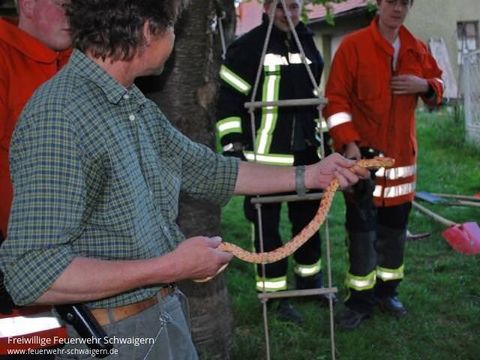 11.05.2012 – Herrenlose Schlange