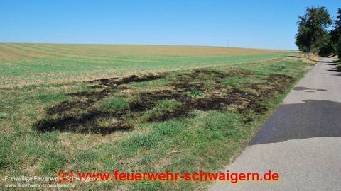 08.09.2012 – Schwelbrand auf Grünfläche