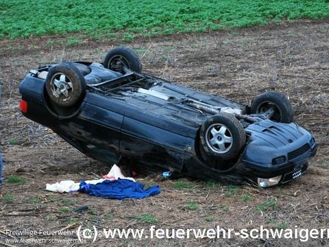29.10.2013 – PKW stürzt über Böschung