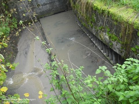 01.11.2013 – Gewässerverunreinigung im Leinbach