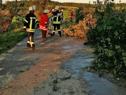 22.09.2014 – Umgestürzter Baum auf der Waldackerstrasse
