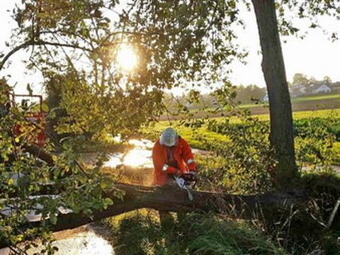 22.09.2014 – Umgestürzter Baum auf der Waldackerstrasse
