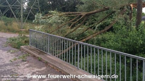 22.07.2015 – Windbruch nach kurzem Sturm