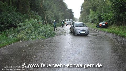14.09.2015 – Umgestürzter Baum auf B 293