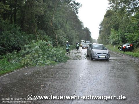 14.09.2015 – Umgestürzter Baum auf B 293