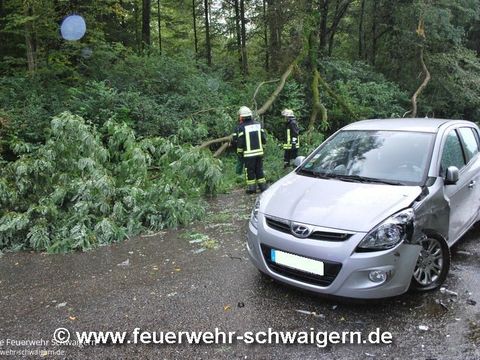 14.09.2015 – Umgestürzter Baum auf B 293