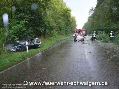 14.09.2015 – Umgestürzter Baum auf B 293
