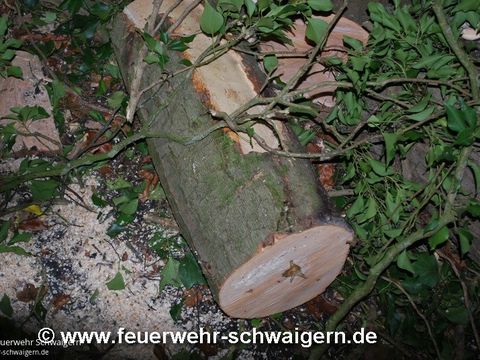 13.01.2017 – PKW auf Baum
