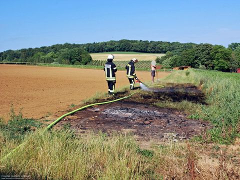 24.06.2017 – Brand einer Freifläche