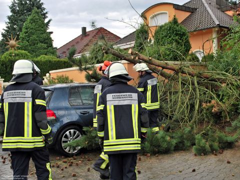 18.08.2017 – Umgestürzter Baum