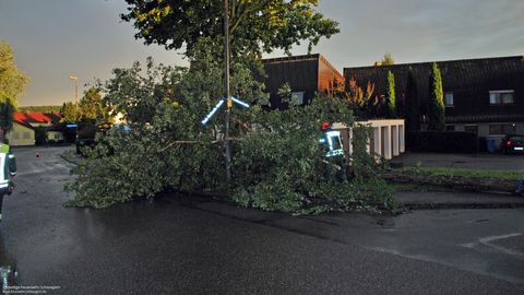 18.08.2017 – Baum drohte umzustürzen