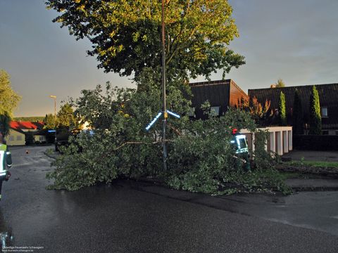 18.08.2017 – Baum drohte umzustürzen