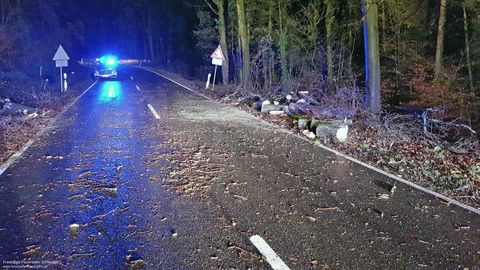 14.12.2017 – Umgestürzter Baum auf der Kreisstrasse Richtung Neipperg