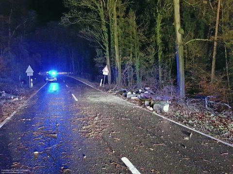 14.12.2017 – Umgestürzter Baum auf der Kreisstrasse Richtung Neipperg