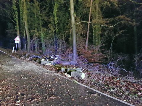 14.12.2017 – Umgestürzter Baum auf der Kreisstrasse Richtung Neipperg