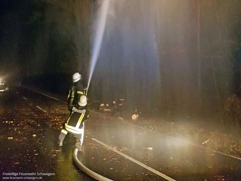 14.12.2017 – Umgestürzter Baum auf der Kreisstrasse Richtung Neipperg