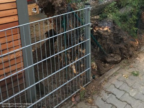 03.01.2018 – Umgestürzter Baum auf der Herewinstrasse