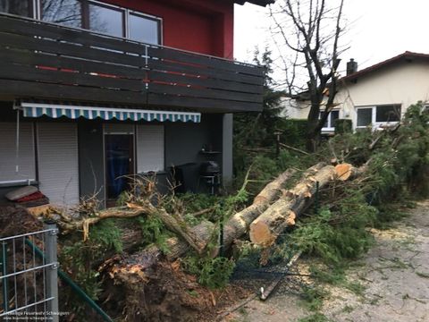 03.01.2018 – Umgestürzter Baum auf der Herewinstrasse