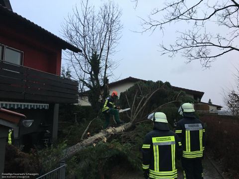03.01.2018 – Umgestürzter Baum auf der Herewinstrasse