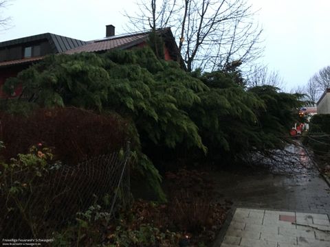 03.01.2018 – Umgestürzter Baum auf der Herewinstrasse