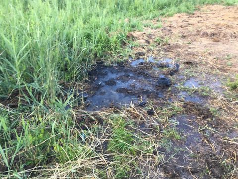 03.06.2018 – Brand eines Wiesenstücks