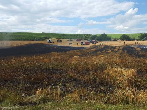 22.06.2018 – Ausgedehnter Flächenbrand
