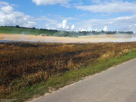 22.06.2018 – Ausgedehnter Flächenbrand