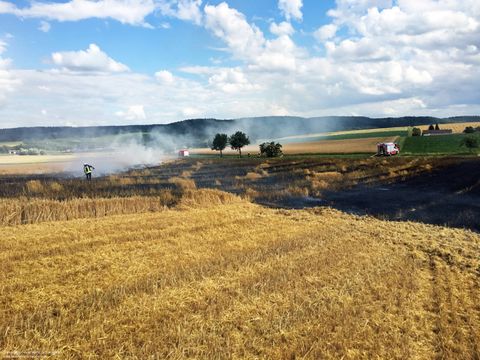 22.06.2018 – Ausgedehnter Flächenbrand