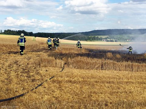 22.06.2018 – Ausgedehnter Flächenbrand
