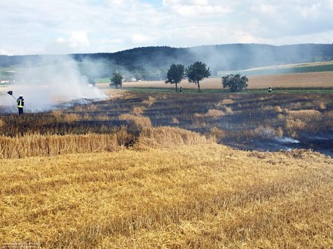 22.06.2018 – Ausgedehnter Flächenbrand