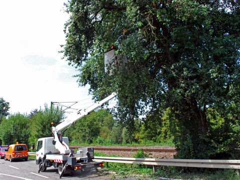08.08.2018 – Ast stürzt auf die Heilbronner Strasse