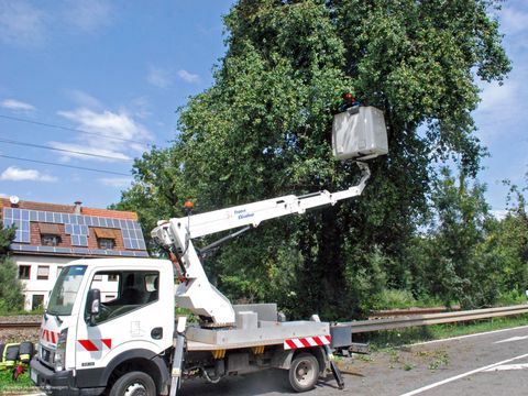 08.08.2018 – Ast stürzt auf die Heilbronner Strasse