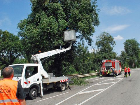 08.08.2018 – Ast stürzt auf die Heilbronner Strasse