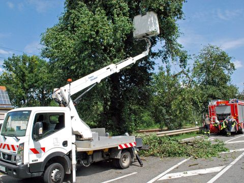 08.08.2018 – Ast stürzt auf die Heilbronner Strasse