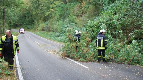 23.09.2018 – Umgestürzter Baum auf der Kreisstrasse nach Neipperg