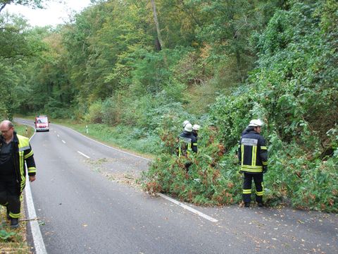 23.09.2018 – Umgestürzter Baum auf der Kreisstrasse nach Neipperg