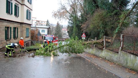10.02.2019 – Umgestürzter Baum blockiert Gratstrasse