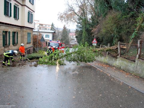 10.02.2019 – Umgestürzter Baum blockiert Gratstrasse