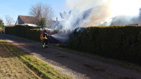 17.02.2019 – Brand einer Tujahecke