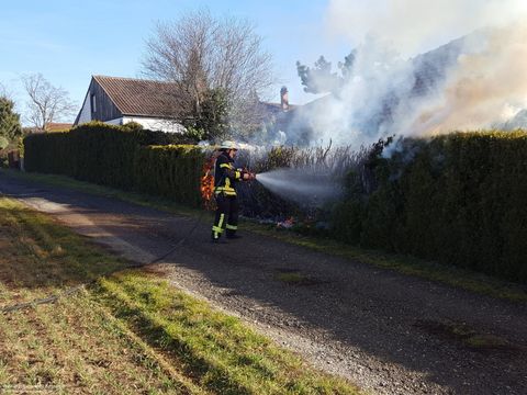 17.02.2019 – Brand einer Tujahecke