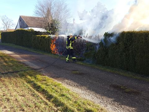 17.02.2019 – Brand einer Tujahecke