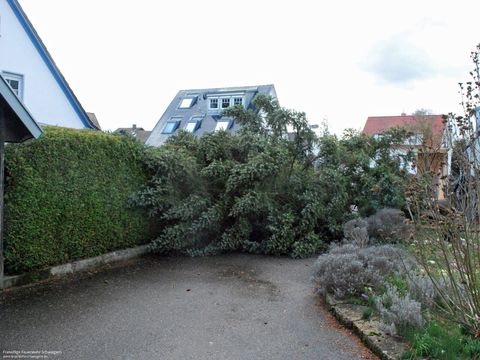 10.03.2019 – Umgestürzter Baum beschädigt Garagendach