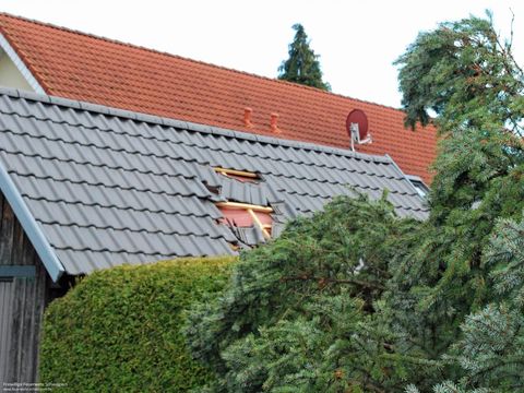 10.03.2019 – Umgestürzter Baum beschädigt Garagendach