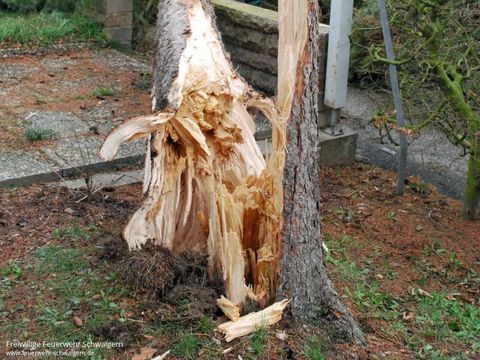 10.03.2019 – Umgestürzter Baum beschädigt Garagendach