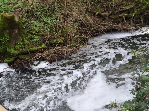 04.04.2019 – Massives Fischsterben in der Schozach